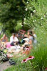 Sommerliches Picknick im Gr&uuml;nen mit Fokus auf Bl&uuml;ten im Vordergrund