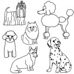 Hand drawn vector doodle set with different dog breeds 
