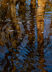 689-66 Foam Dots and Ripples