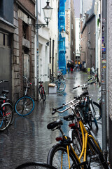 Nas ruas chuvosas da Holanda no outono .