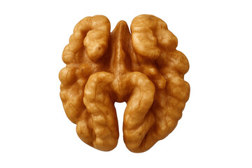 Walnut kernel on transparent background