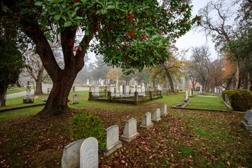 Somber Cemetery Scene on a Foggy Day in Jacksonville, Oregon