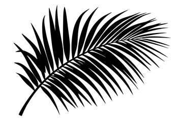 Obraz premium Black Silhouette Palm Frond White Background