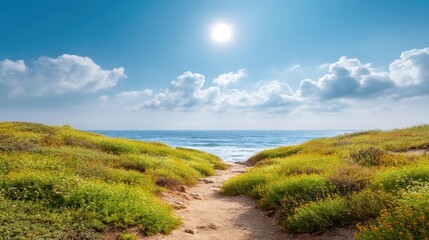 Serene Coastal Pathway Surrounded by Vibrant Greenery Leading to Tranquil Ocean Under Bright Blue Sky with Fluffy Clouds and Radiant Sunlight