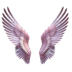 Obraz premium Pair of Delicate Pink Angel Wings with Feather Details Isolated on Black Background Elegant Fantasy Element
