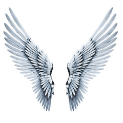 Obraz premium Pair Of Angelic White Wings Spread Open Against A Solid Black Background With Subtle Silver Highlights And Detailed Feather Textures
