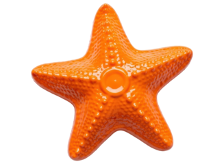 Striking orange starfish with detailed texture for marine and summer themes