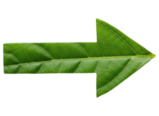 Green leaf shaped as an arrow pointing right, symbolizing nature and direction.