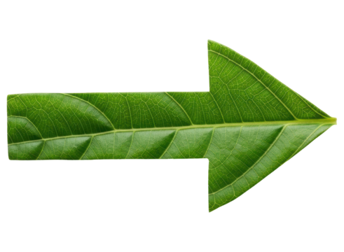 Green leaf shaped as an arrow pointing right, symbolizing nature and direction.