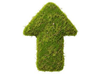 Upward pointing arrow crafted from vibrant green moss, symbolizing growth and eco friendly direction.
