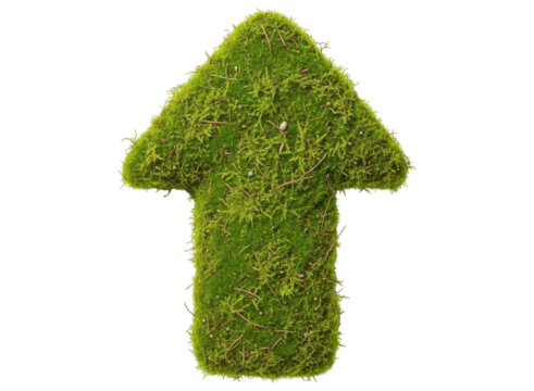 Upward pointing arrow crafted from vibrant green moss, symbolizing growth and eco friendly direction.