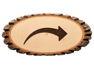 Carved right arrow on natural oval wood slice with rustic bark edge