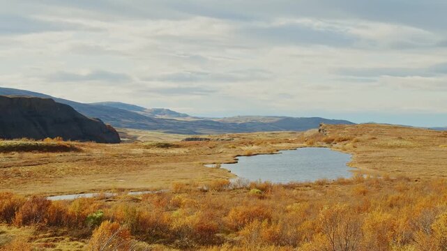 A wide angle shot of a serene Icelandic landscape during the autumn season. The scene features a small, calm lake reflecting the cloudy sky, surrounded by vast fields of golden and reddish brown veget