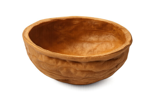 Empty walnut shell half with transparent background