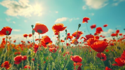 Advanced Photovoltaic Module Design with Integrated Bypass Diodes and Thermal Management Systems