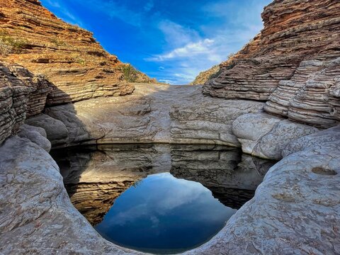 A tinaja provides a tiny oasis in the barren lands of Big Bend National Park
