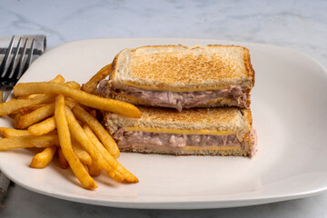 tuna   melt sandwich with  fries
