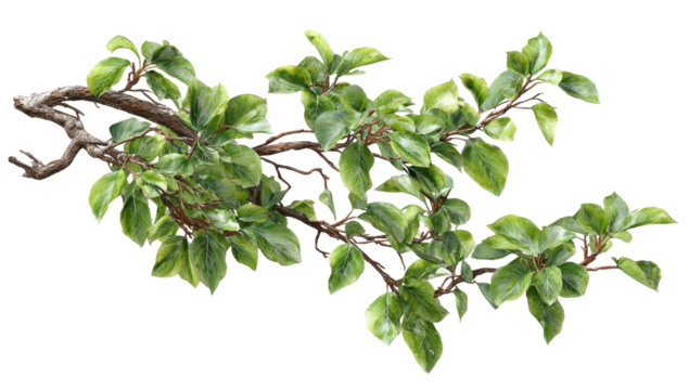 Tree branch with green leaves on a black background, detailed - Powered by Adobe