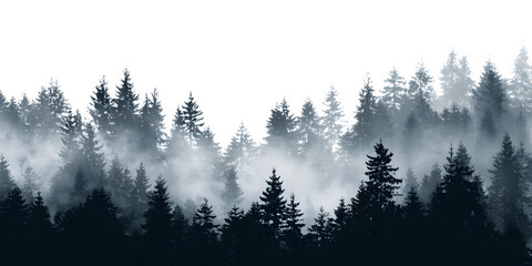 Mysterious foggy forest silhouette with towering pine trees creating a dramatic, atmospheric landscape perfect for nature themes