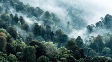 Fototapeta premium Misty Forest Landscape with Lush Green Trees and Soft Fog Covering the Ground, Capturing Tranquility and Natural Beauty in a Serene Environment
