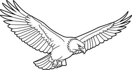 Eagle in flight, fierce bird, detailed feathers, sharp talons, black and white, predator pose, majestic wings, wildlife drawing, nature sketch, hunting motion