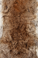 rabbit fur