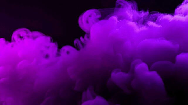 Abstract magenta smoky motion on black background colorful ink footage