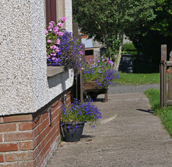 Fototapete bei efototapeten.de bestellen   