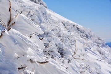 雪山の芸術的なエビのしっぽ