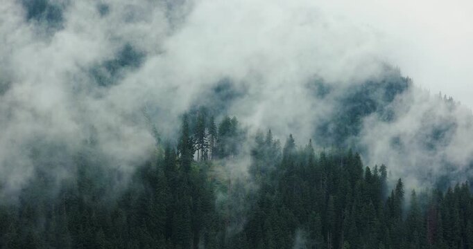 Foggy forest mountain landscape, clouds moving