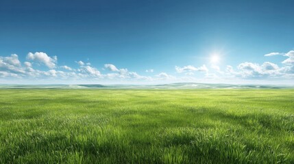Obraz premium Expansive Green Meadow Under Bright Blue Sky with Fluffy Clouds and Radiant Sunlight Illuminating the Serene Landscape