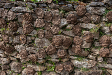 Cow dungs drying outdoor by stick on the wall in rural, Nepal. Dried cow dung, a main source of household cooking fuel for many in rural India and Nepal.