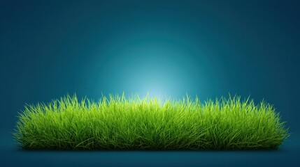 Obraz premium Vibrant Fresh Green Grass with Soft Light Background Ideal for Nature, Gardening, and Outdoor Themes in Stock Photography