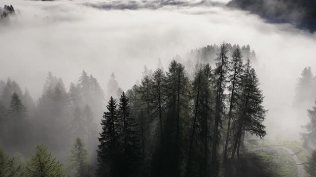 Cinematic aerial video of trees in the clouds in the Italian Dolomites