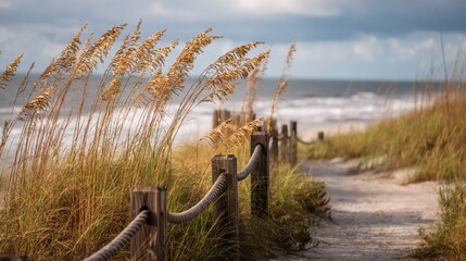 Sandy beach pathway lined with tall sea oats and weathered wooden posts, leading to the scenic ocean shoreline on a partly cloudy day