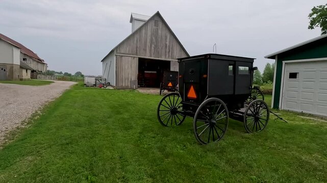 Rear view of a horse-drawn carriage in a grassy meadow. Rural farm setting in Amish Country - Arthur, Illinois, USA.