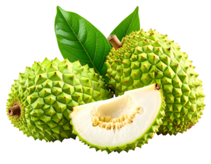 Spiky green fruit with a slice revealing fibrous flesh and seeds