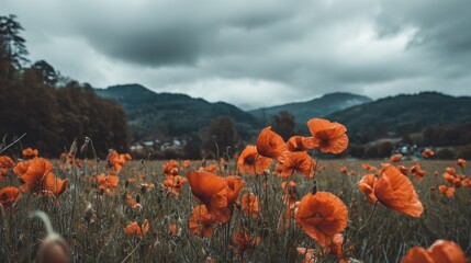 A vibrant field of red poppies in full bloom with rolling hills and dark clouds in the background, symbolizing hope amid despair during World War I, captured with a Canon EOS R5 macro lens.