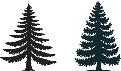Obraz premium Pine tree silhouette coniferous evergreen with trunk and branches abstract isolated