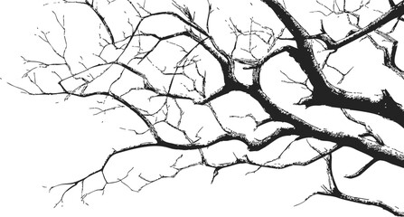 Obraz premium Bare tree branches sketch, hand drawn style with intricate lines on white background — stock vector