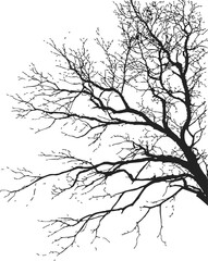 Fototapeta premium Bare tree branches sketch, hand drawn silhouette on white background — stock vector