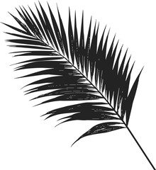 Obraz premium Palm leaf silhouette sketch, hand drawn tropical frond isolated on white — stock vector