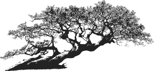 Fototapeta premium Oak tree silhouette sketch, hand drawn style, sprawling branches and textured trunk — stock vector