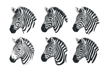Obraz premium Six Striking Zebra Head Illustrations