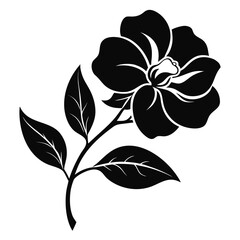 gardenia flower silhouette on white 