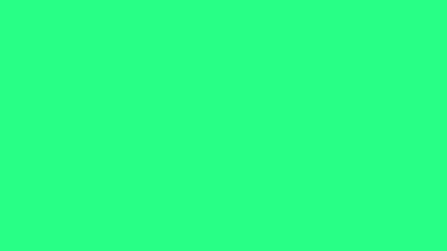 A vivid neon green field fills the frame with uniform color and no visible features. It stays blank, video loops, green screen, 4k, footage, 4k footage, videos, video clip, slow motion