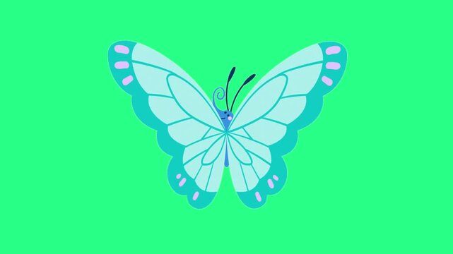 Bright turquoise butterfly with paler blue wings rests on a vivid green backdrop, graceful symmetry, video loops, green screen, 4k, footage, 4k footage, videos, video clip, slow motion