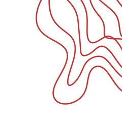 vector illustration of a red heart