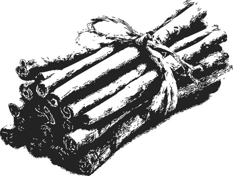 Bundle of sticks sketch, hand drawn tied firewood illustration &mdash; stock vector