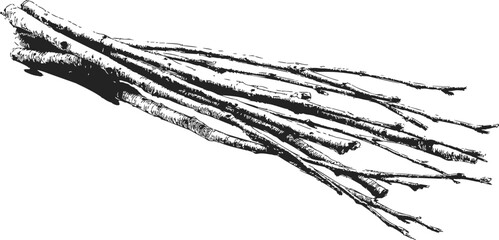 Fototapeta premium Bundle of sticks sketch hand drawn black and white firewood illustration — stock vector